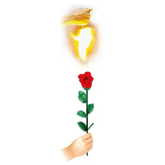 Instant Rose by Difatta