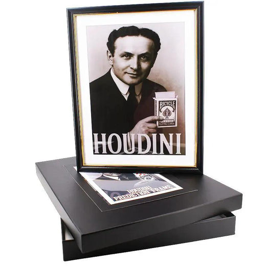 Houdini Prediction Frame by Difatta