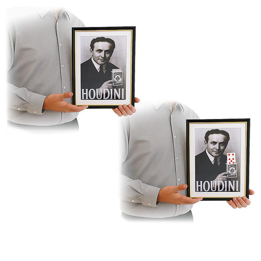 Houdini Prediction Frame