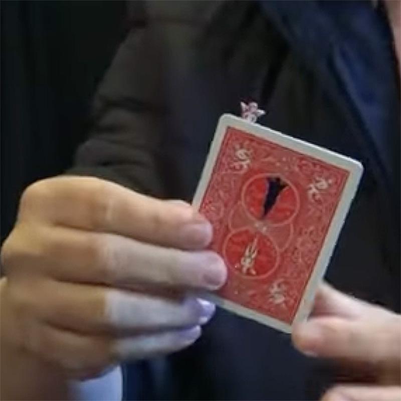 Angel's Flight by Andrew and Ednei Ernesto