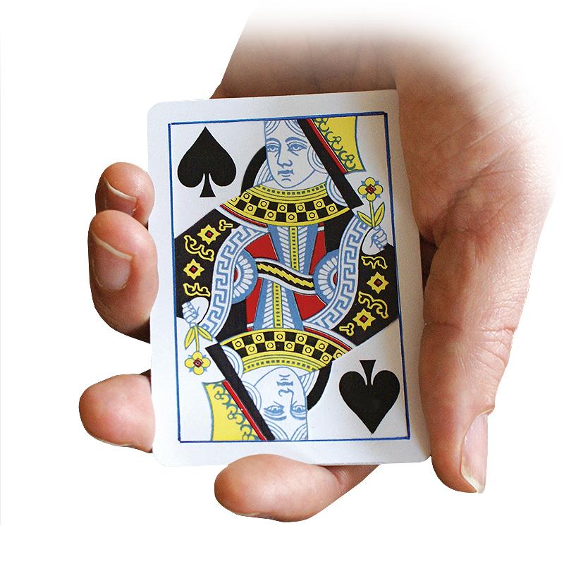 Find the Queen - Bicycle