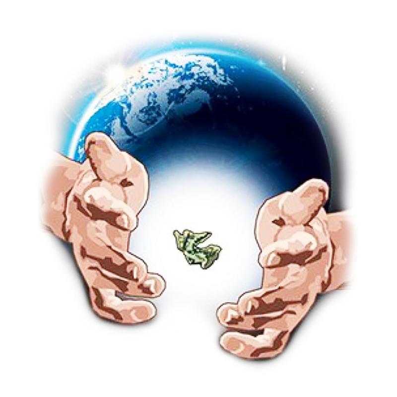 Infinity V2 (Filo elastico invisible 61mt)