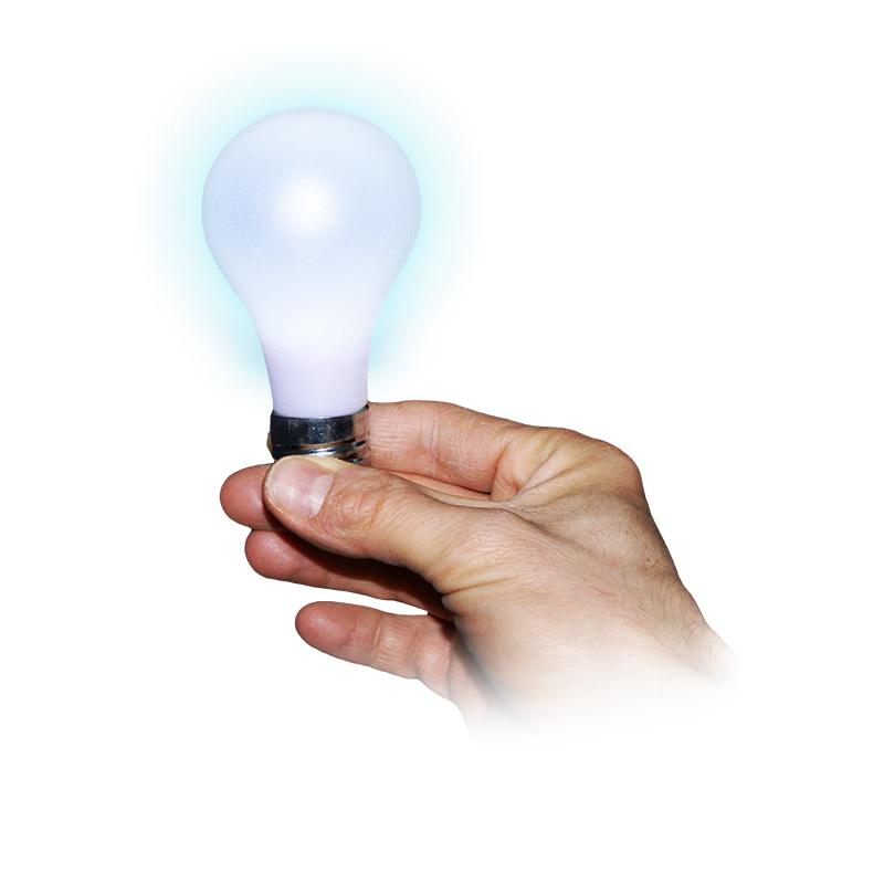 Magic bulb