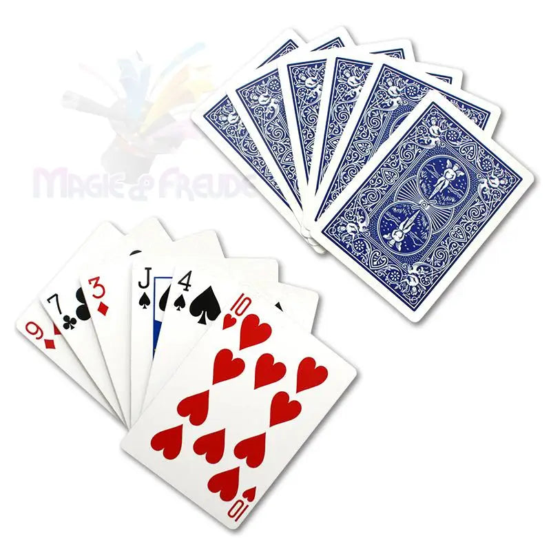 Ein aufgefächertes Spielkartenblatt mit Bildkarten und einem Stapel blau unterlegter Karten.