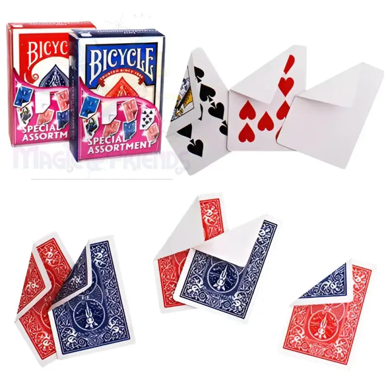 Bicycle - Special Assortment -