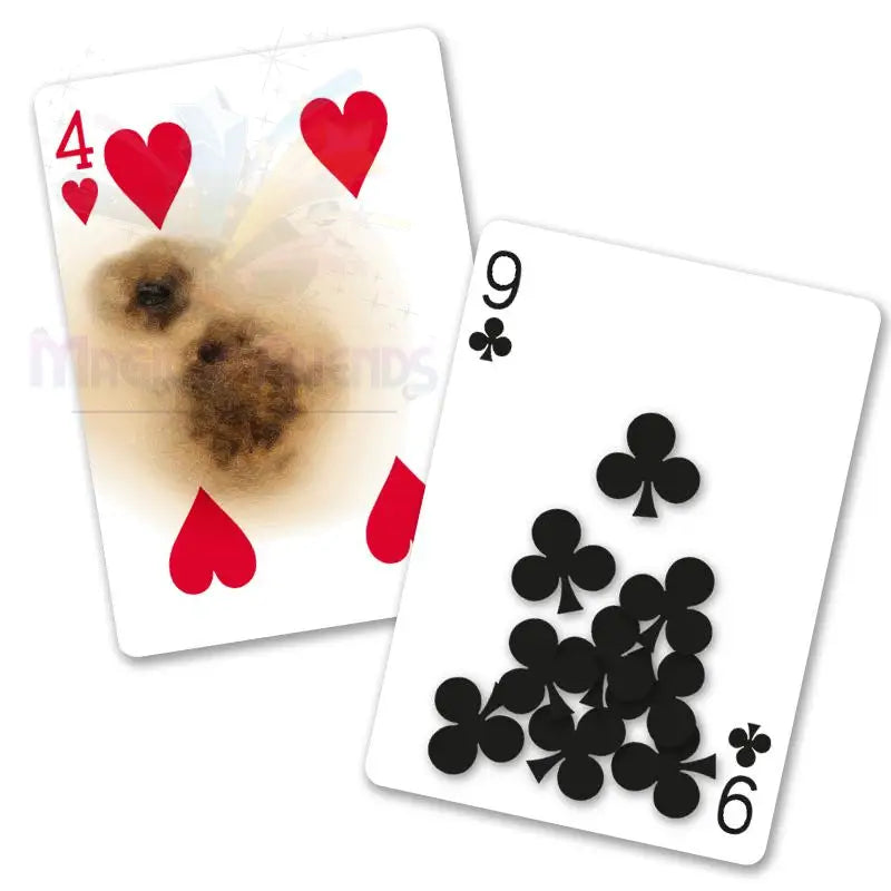 **Bicycle – Super Gaff Deck**