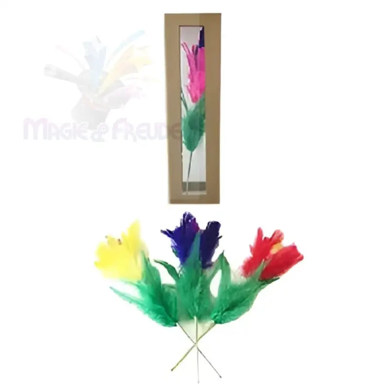 Eine Reihe von bunten Federblumen, darunter ein Strauß aus drei Blumen und eine einzelne Blume in einem hohen, schmalen Rahmen.