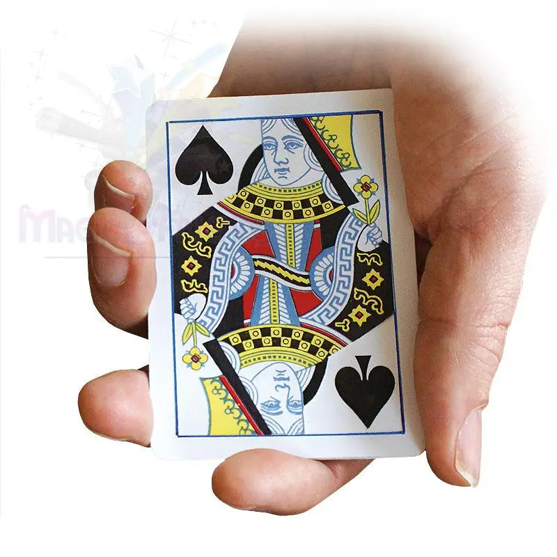 Find the Queen - Bicycle -