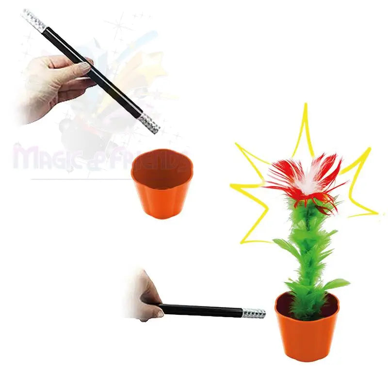 Magic Appearing Flower