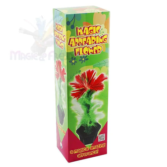 Eine hohe, rechteckige Schachtel für eine ’Magic Appearing Flower’ mit einer roten Blume in einem Topf auf grünem Hintergrund.