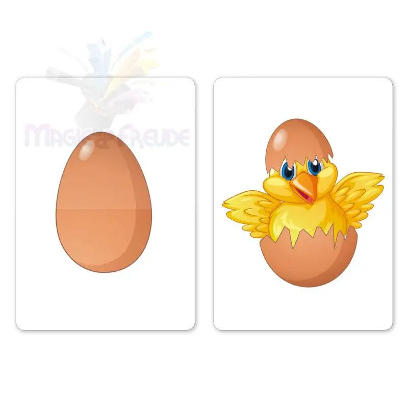 My Egg (Bicycle) - Magic Product