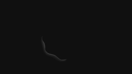 Tarantula Magictrick