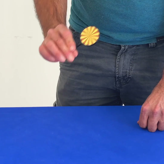 Money Illusion