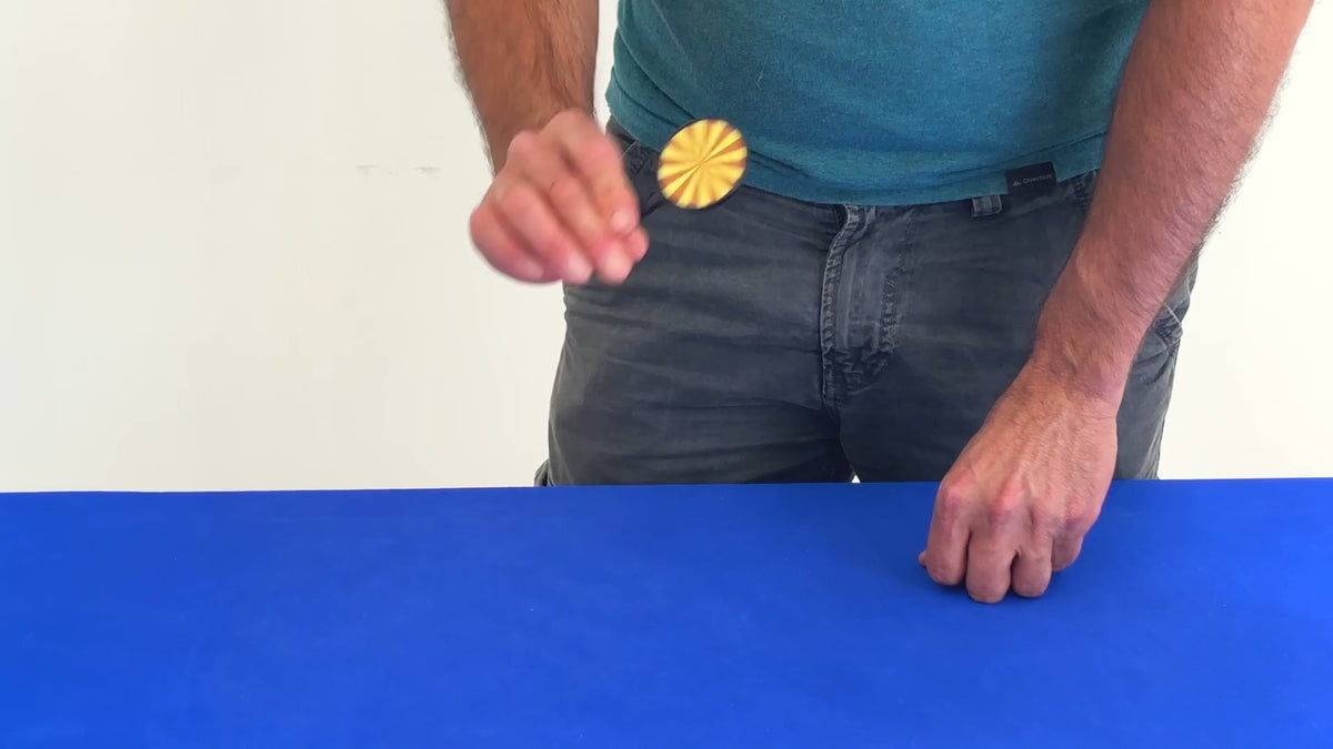 Money Illusion