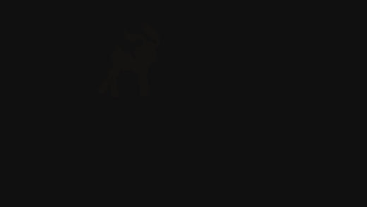 DeinZaubershop.com