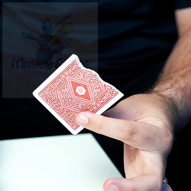 Rote Spielkarte mit dekorativem Rückseitenmotiv, an einer Kante teilweise eingerissen.