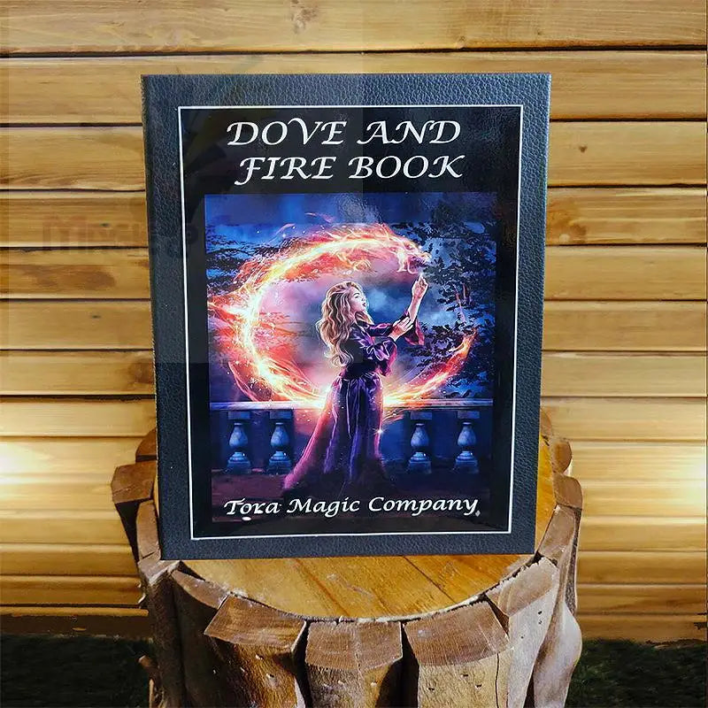 Ein Buch zum Thema Magie mit einer Hexe und einer feurigen Taube auf dem Einband.