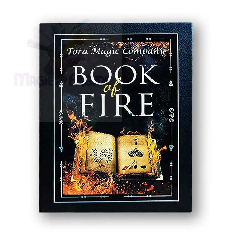 Ein schwarzes, gebundenes Buch mit einer feurigen Illustration eines aufgeschlagenen Buches.