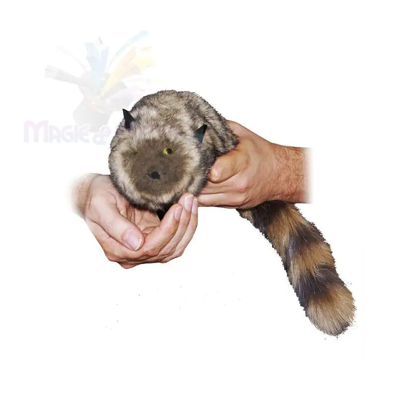 Ein flauschiges, langschwänziges, braun-hellbraunes Stofftier mit gelben Augen, das von zwei Händen gehalten wird.