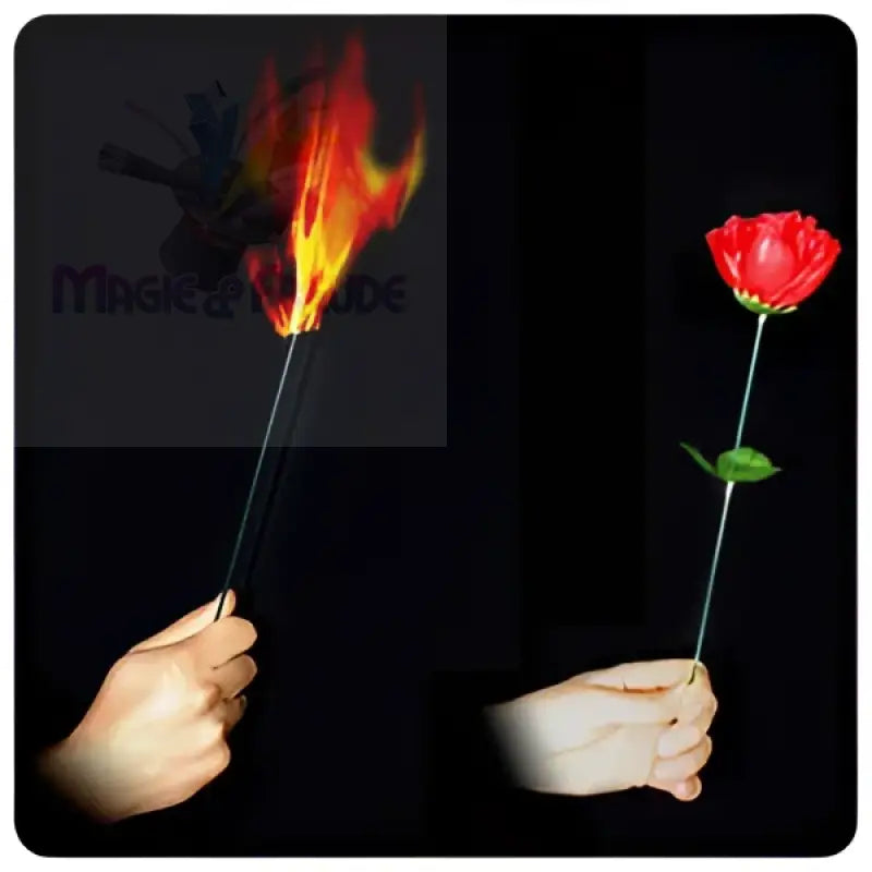 Ein Zaubertrick, der einen brennenden Stock in eine rote Rose verwandelt.